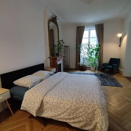 Logement Familial Hyper Centre Nancy Exterior photo